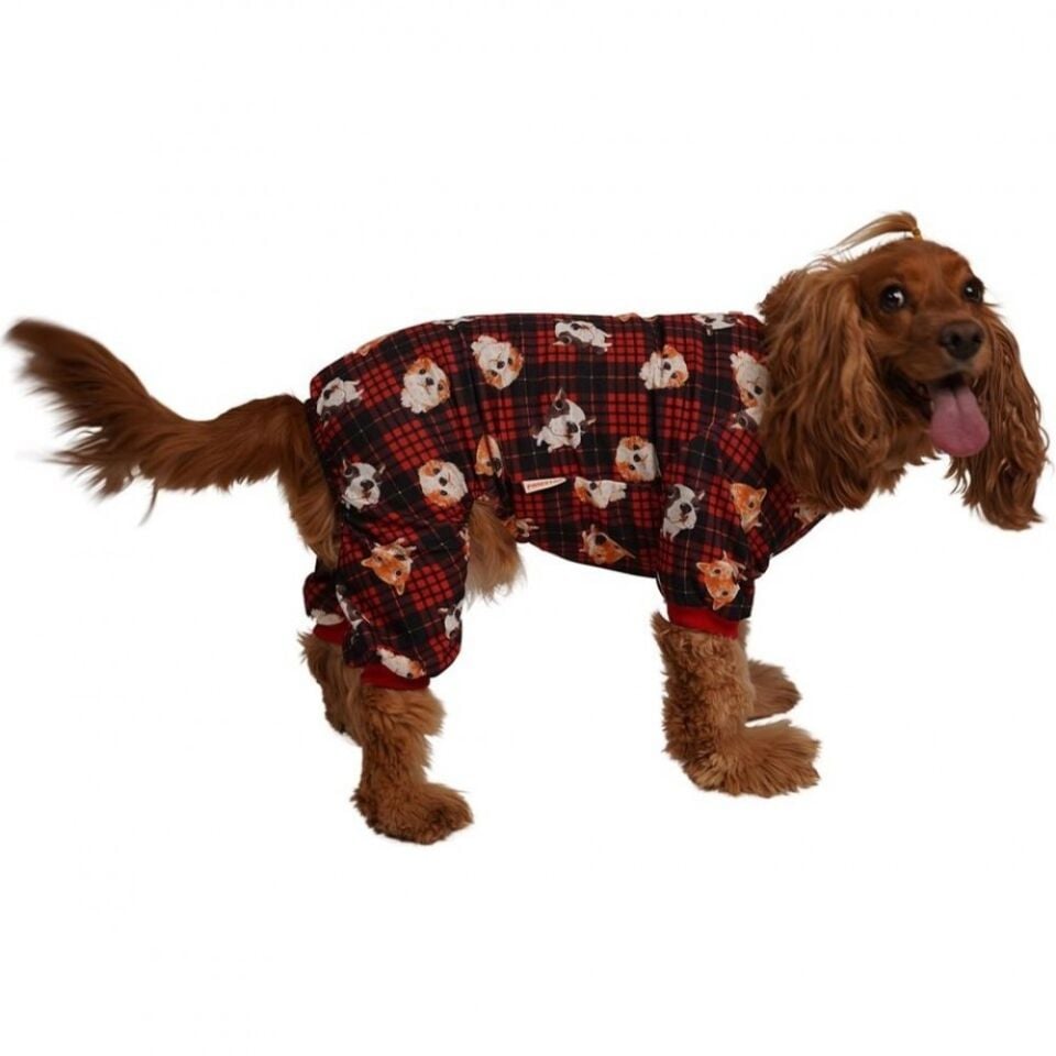 Pawstar Dogs Küçük Köpek Penye Tulum Pijama-S
