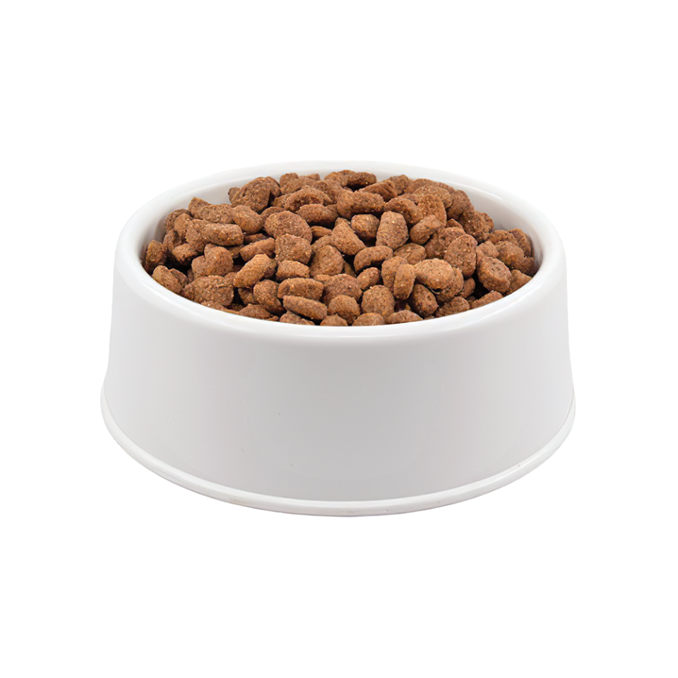Purina Pro Plan Medium Kuzu Etli Açık Yavru Köpek Maması