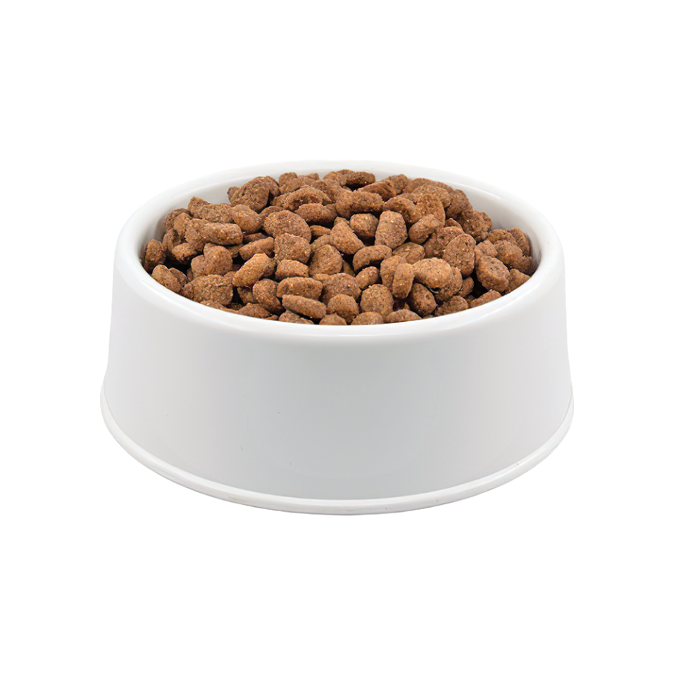 Purina Pro Plan Medium Kuzu Etli Açık Yetişkin Köpek Maması