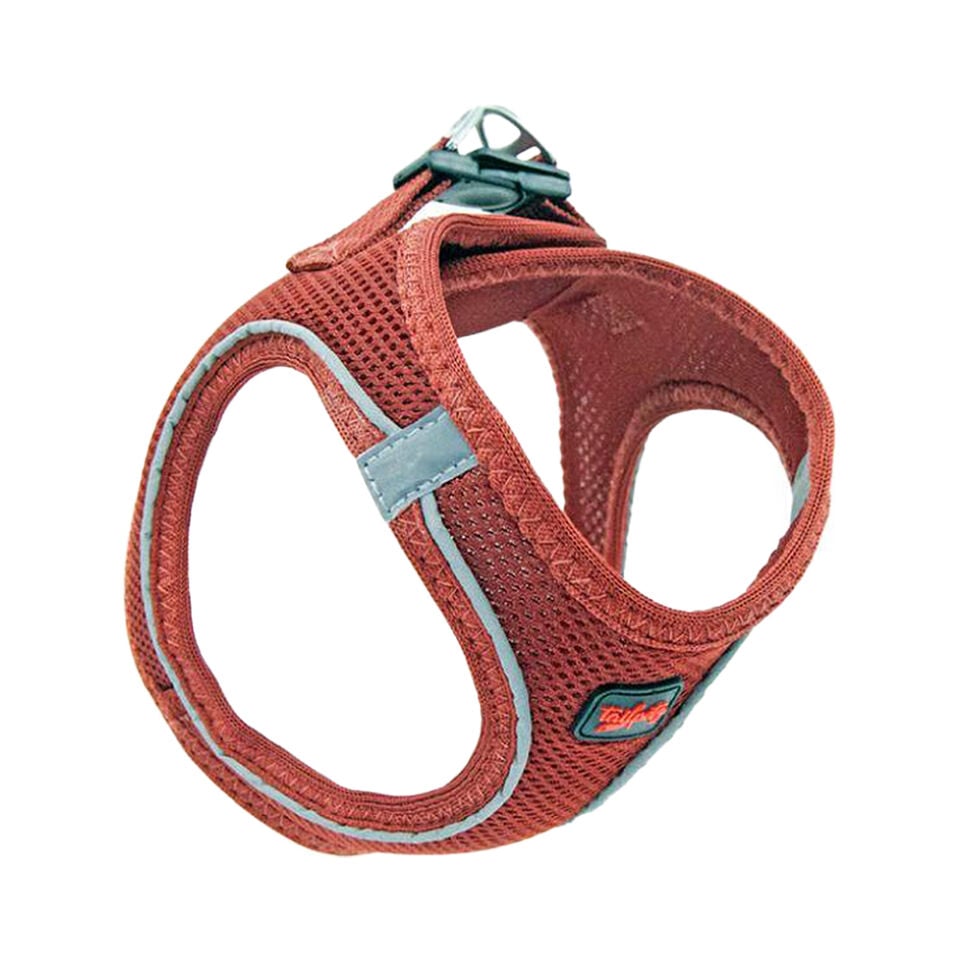 Tailpetz Air Mesh Harness Claret Göğüs Tasması XL
